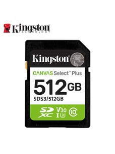 SD KING CANVAS SELECT + 512GB