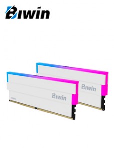 MEMORIA UDIMM BIWIN BLACK OPAL DW100 RGB, 32GB (2X16GB) DDR5-6000, PC5-48000, CL30, 1